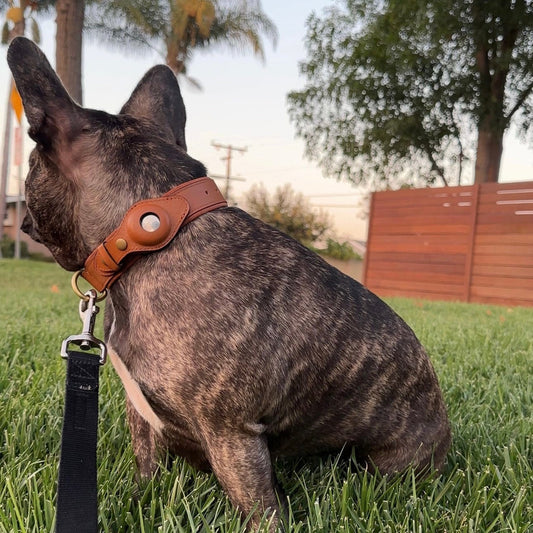 CleverTrack™ Leather AirTag Dog Collar