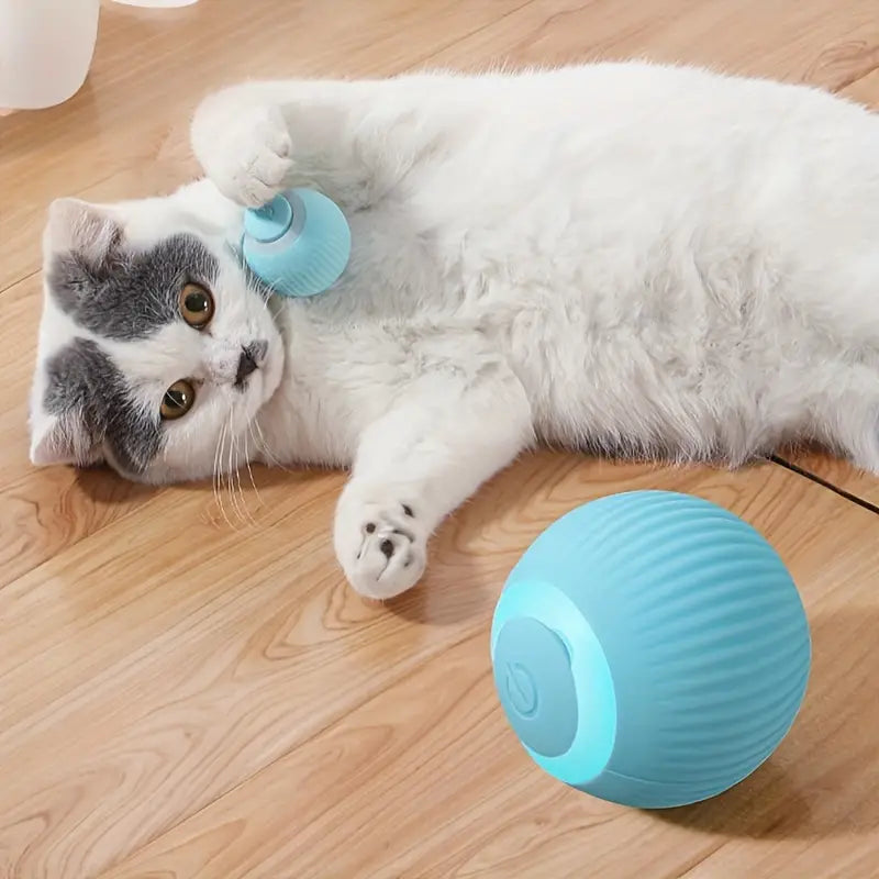 The CleverSphere™ Cat Ball